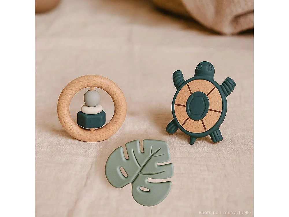 Coffret 3 jouets éveil tortue