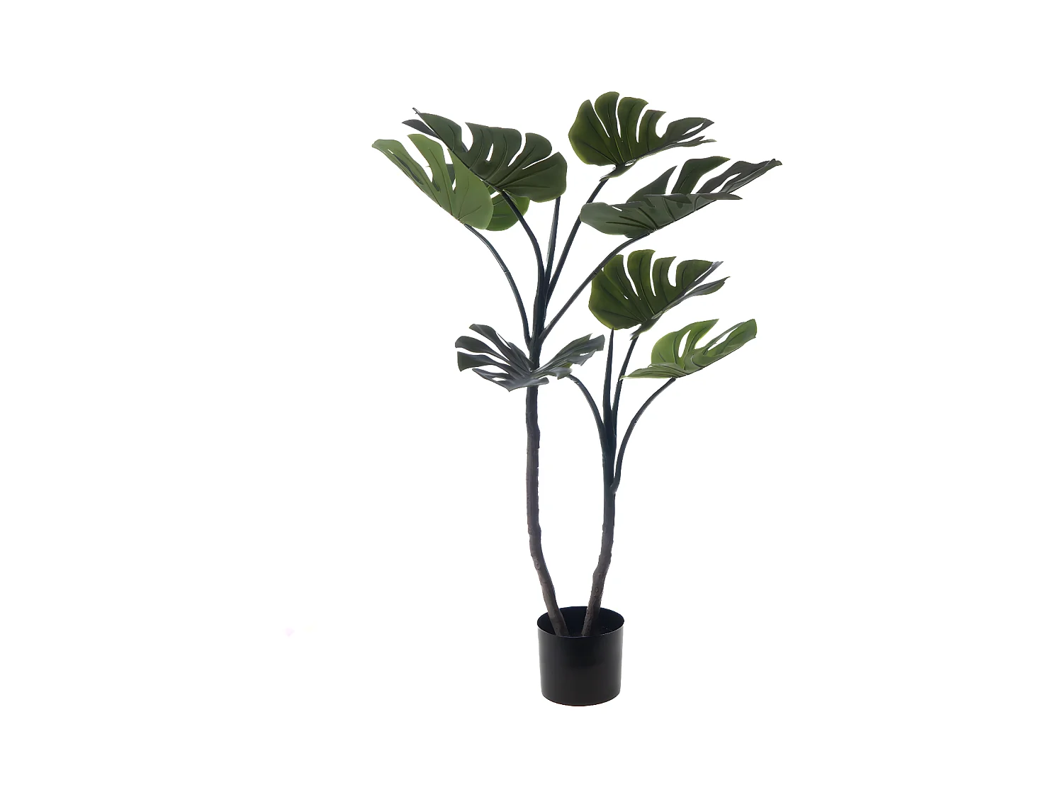Monstera en pot 130