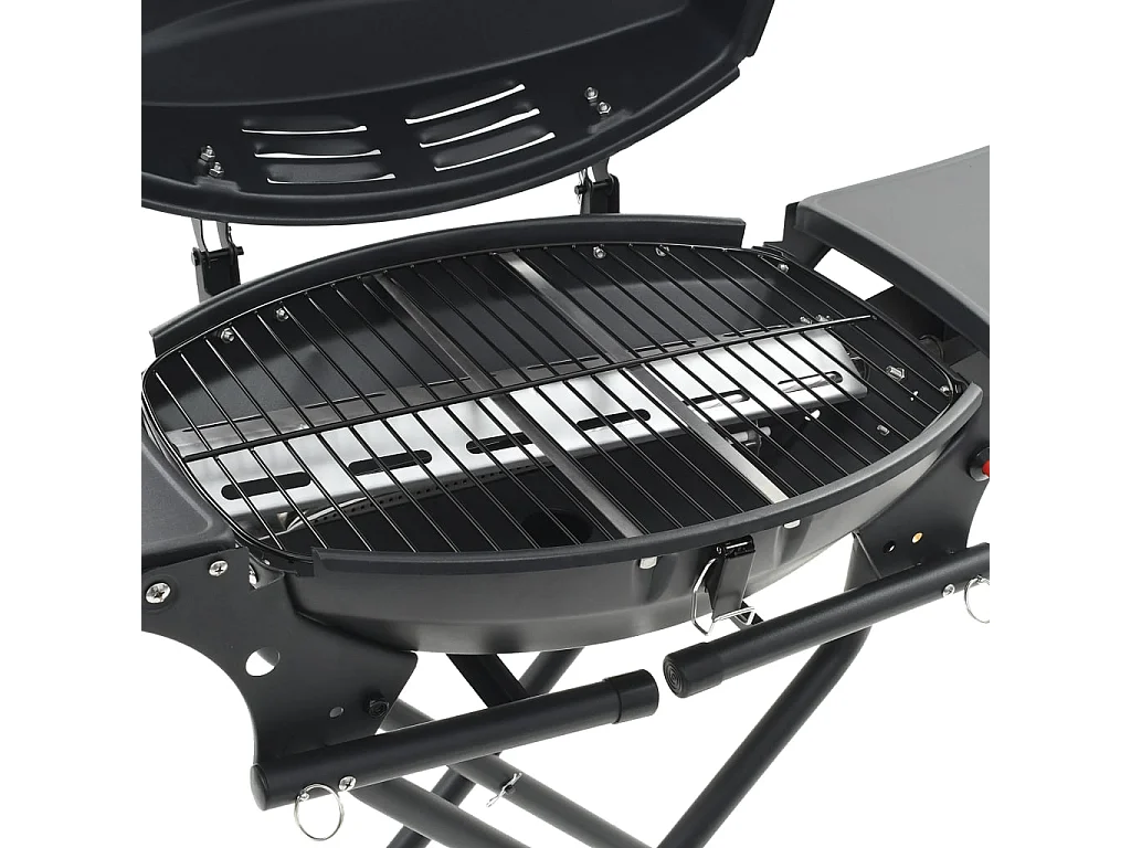 Barbecue au gaz portatif avec zone de cuisson Noir