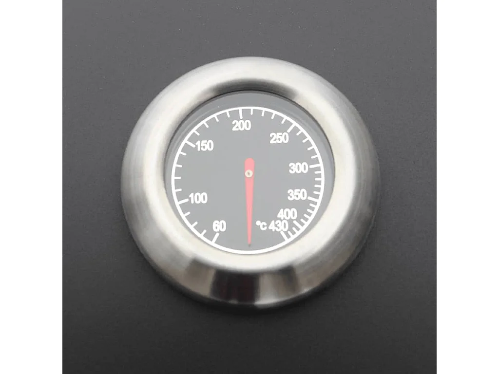 Barbecue e Griglia a Gas 6+1 Fornelli Nero