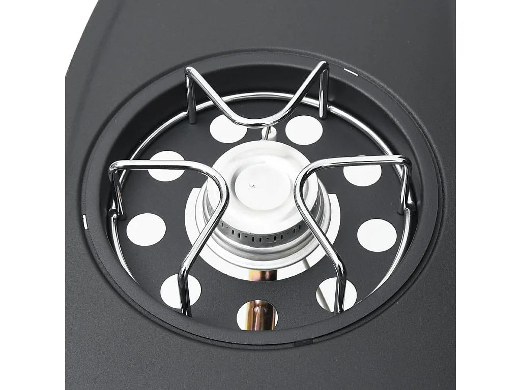 Gasgrill 4+1 Flammen Schwarz und Silbern Stahl & Edelstahl