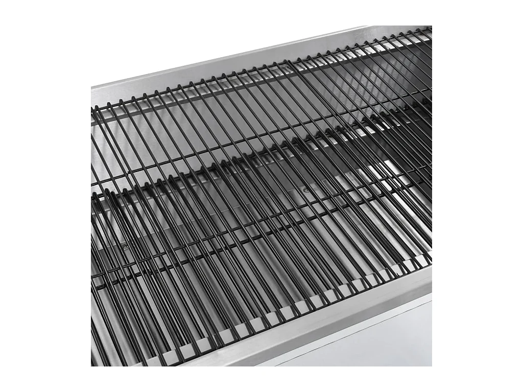 Rôtissoire pour barbecue électrique Acier inoxydable