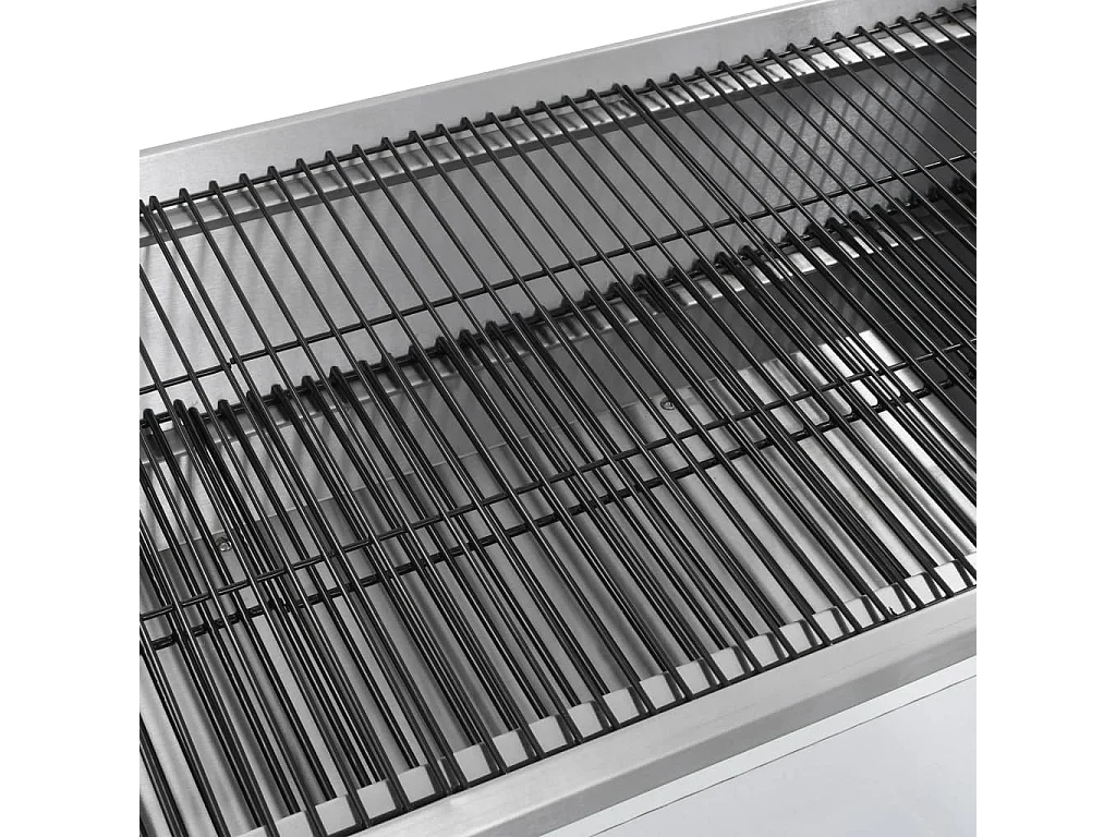 Rôtissoire pour barbecue électrique Acier inoxydable