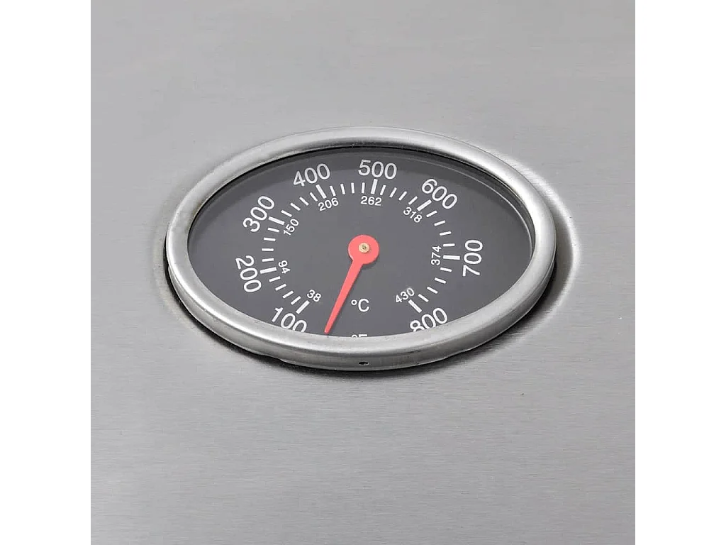 Griglia Barbecue a Gas 4+1 Fornelli Argento