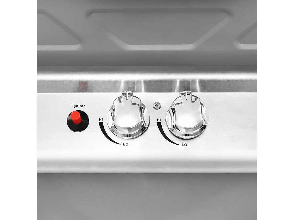 Gasbarbecue en grill met 2 kookzones roestvrij staal zilver