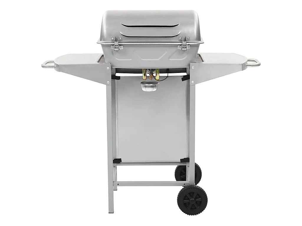 Barbecue a Gas con Griglia 2 Fornelli Argento Acciaio Inox