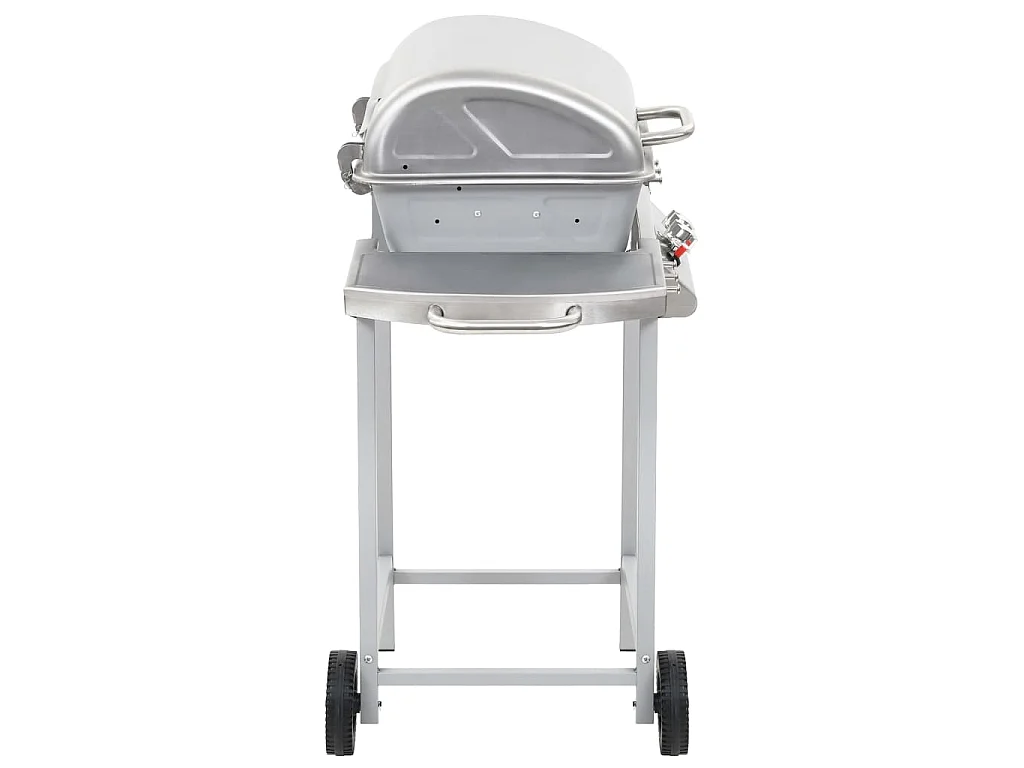 Barbecue a Gas con Griglia 2 Fornelli Argento Acciaio Inox