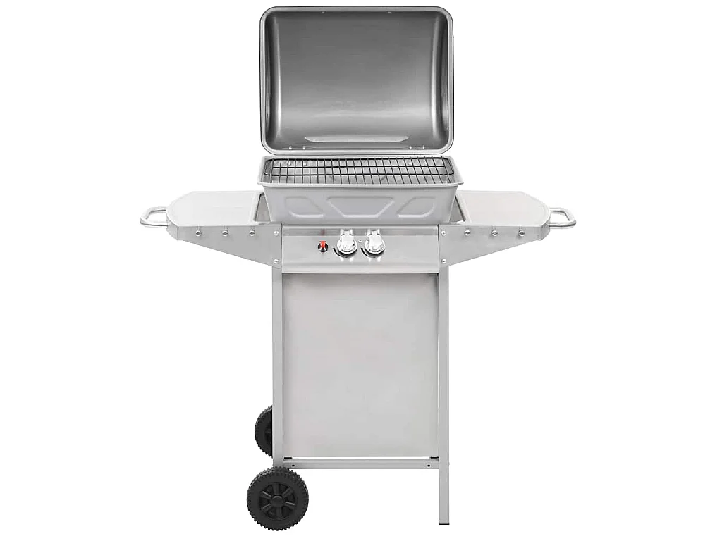 Barbecue à gaz avec 2 zones de cuisson Acier Argenté