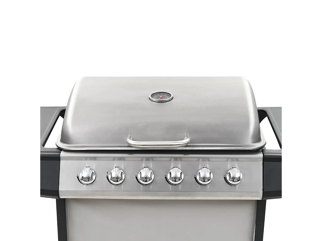 Barbecue Griglia a Gas 6 Fornelli Acciaio Inossidabile Argento