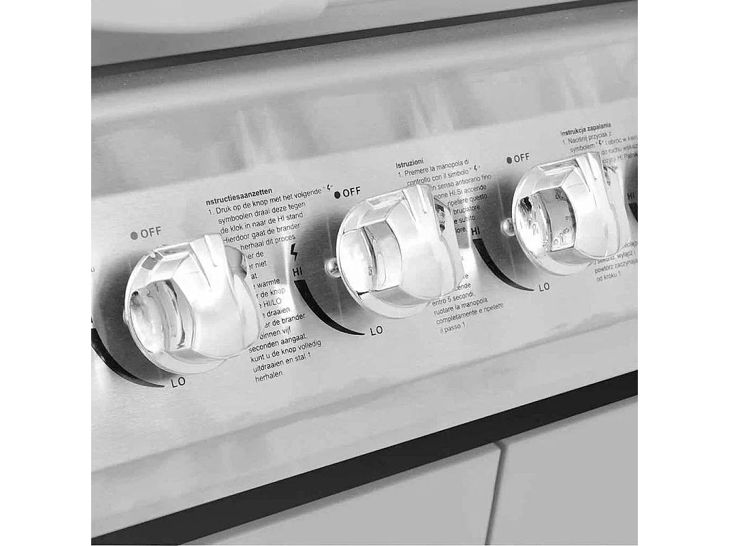 Barbecue à gaz 4 + 1 zone de cuisson Noir et argenté