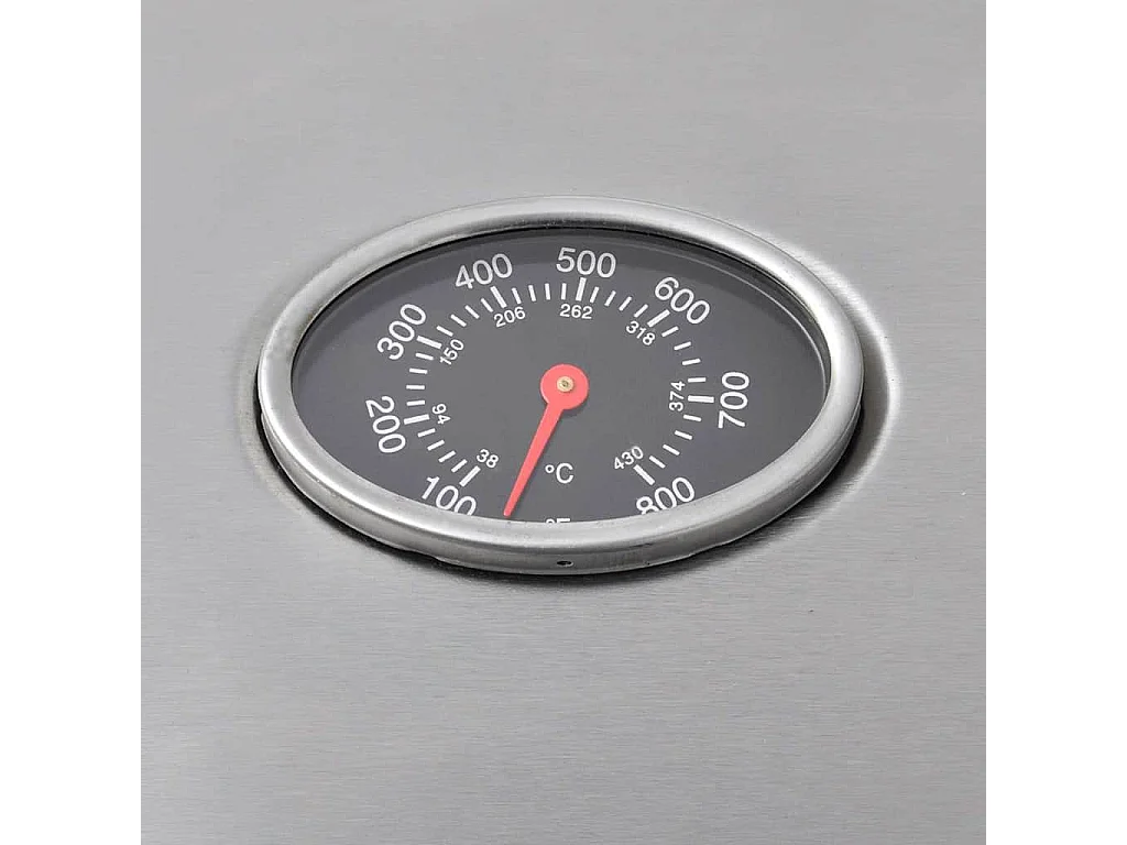 Barbecue à gaz 4 + 1 zone de cuisson Noir et argenté