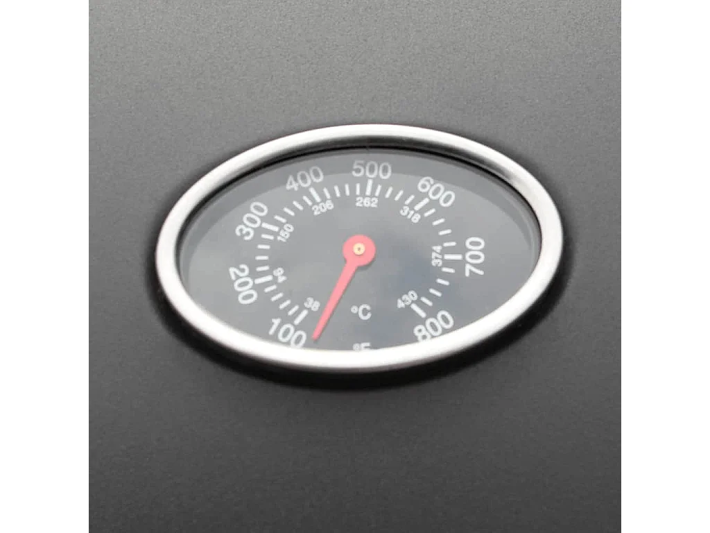 Barbecue e Griglia a Gas 4+1 Fornelli Nero