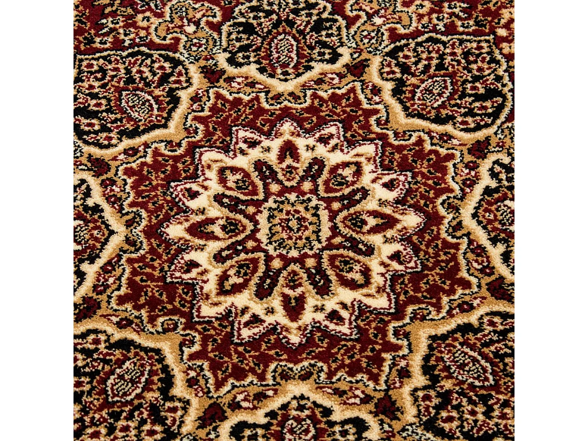 Tapis orient 160x230 rectangle rouge tissé motifs orientaux BISKO