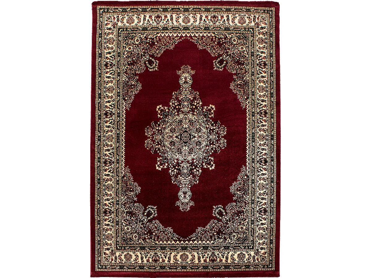 Tapis orient 240x340 rectangle rouge tissé motifs orientaux BISKO 2