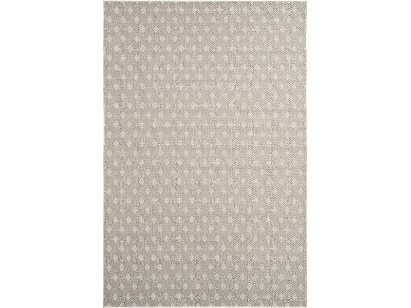 Tapis d'Extérieur 200x290 gris Limited Edition