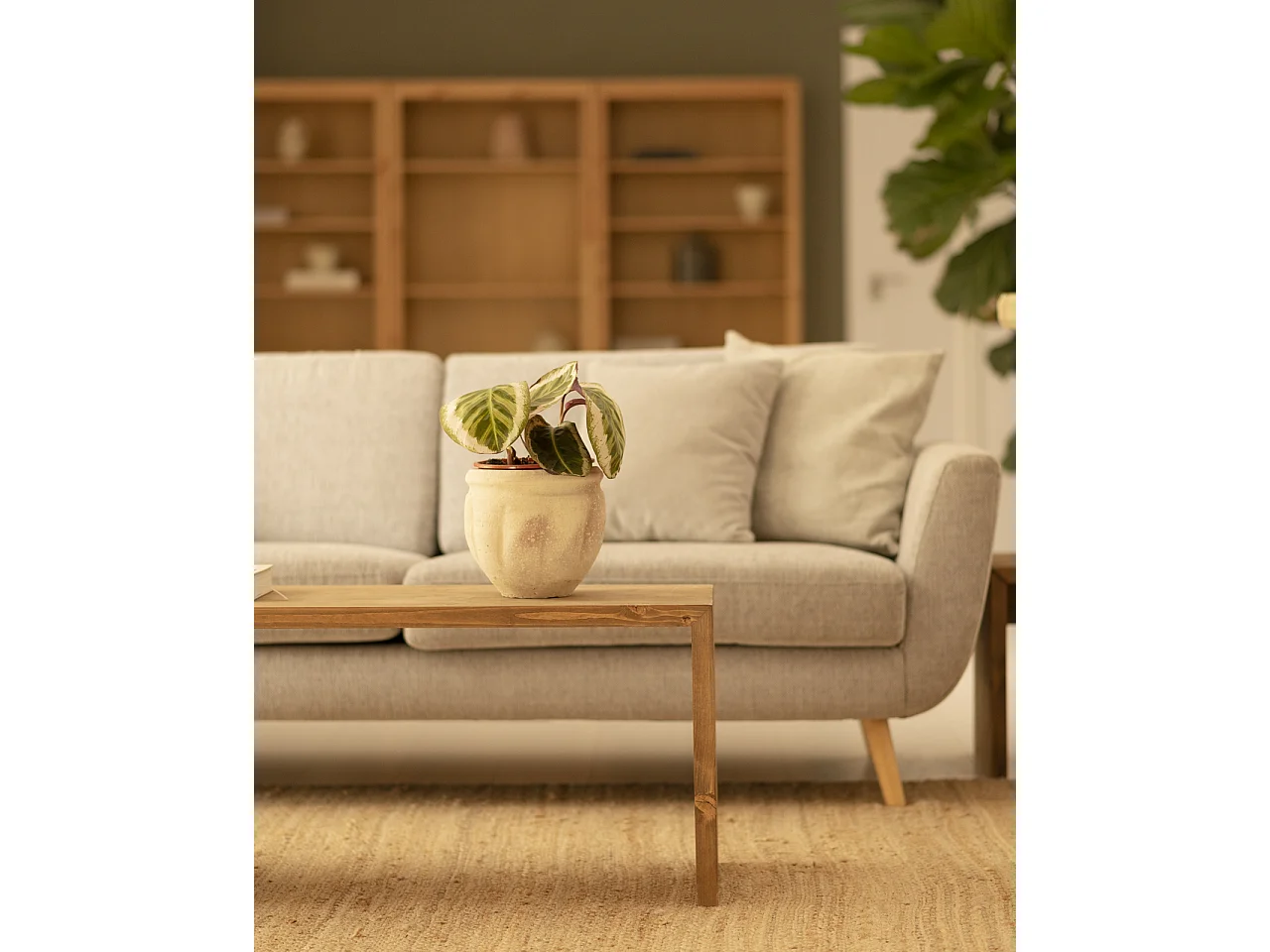 Table basse en bois de sapin vieilli 109,4x59x35cm - TELVA - DECOWOOD