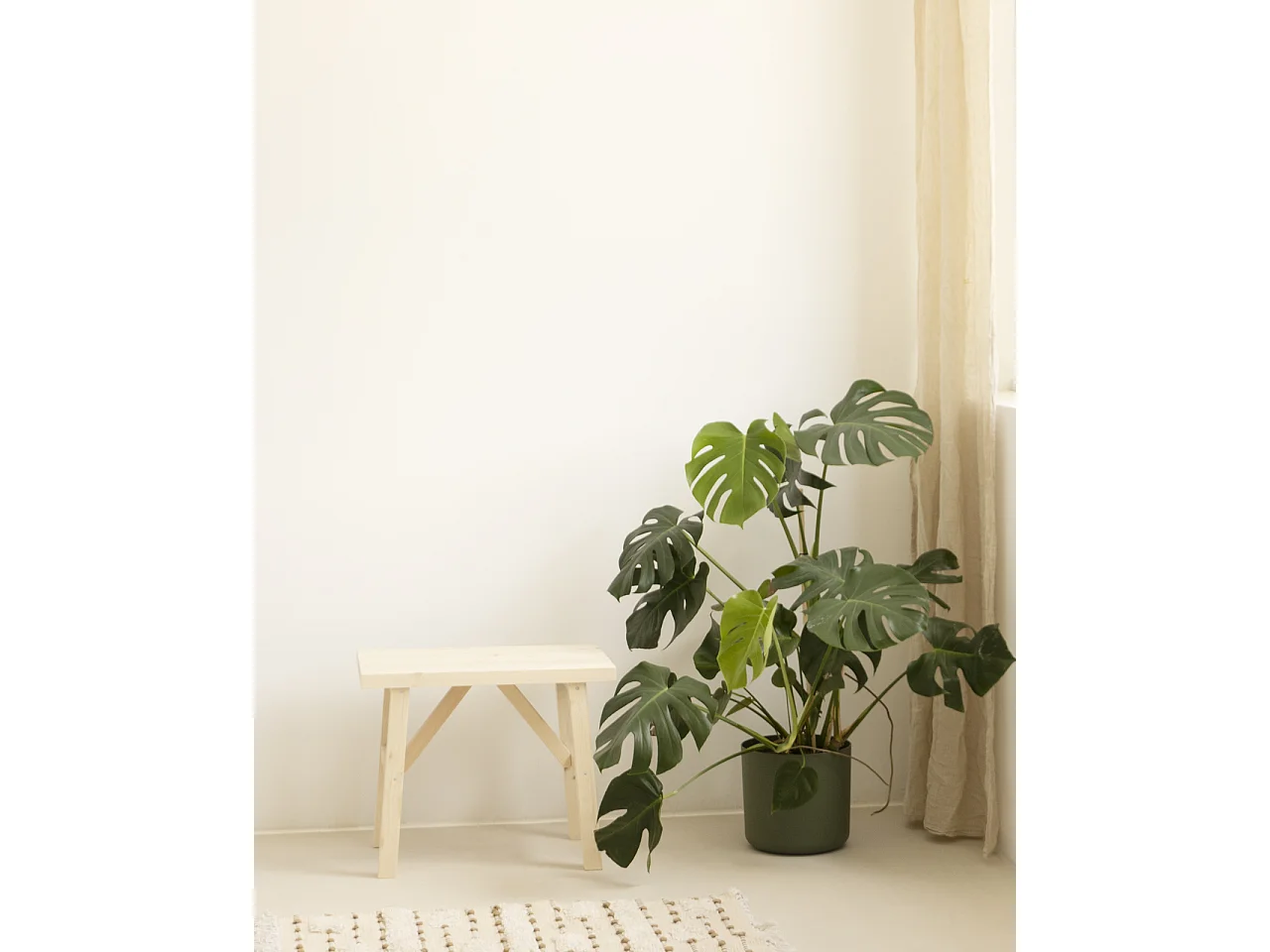 Sgabello in legno massello in tono naturale 55x45cm - SIEP - DECOWOOD