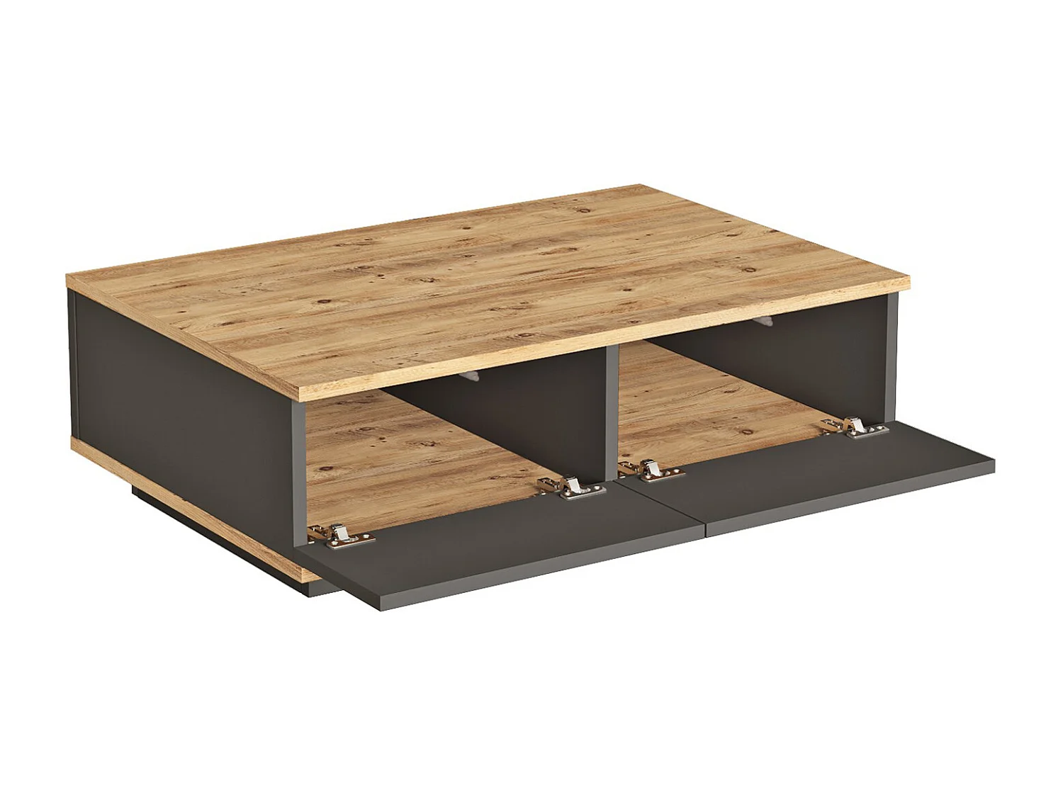 Table basse avec 2 portes - Naturel et Anthracite - LOTULA