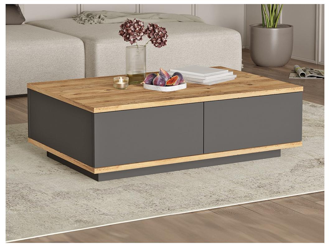 Table basse avec 2 portes - Naturel et Anthracite - LOTULA