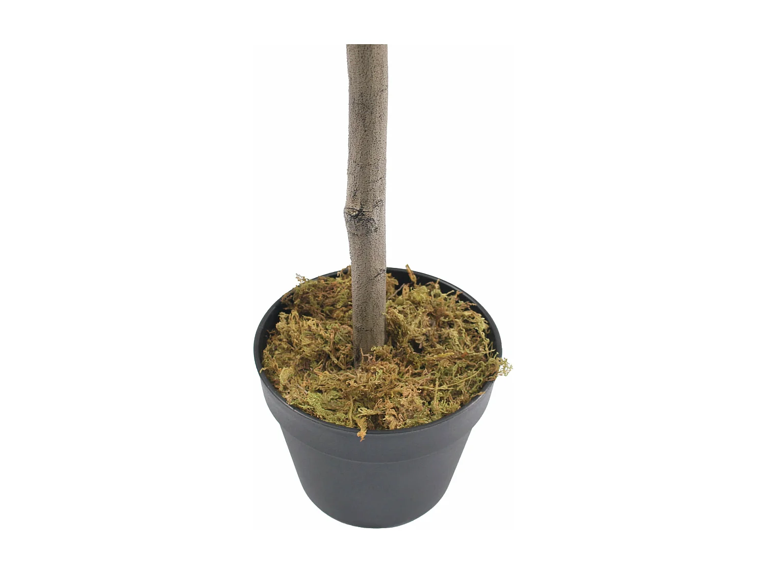 Plante artificielle Olivier Garnet 150x45x45 Polyester Bois Vert Marron