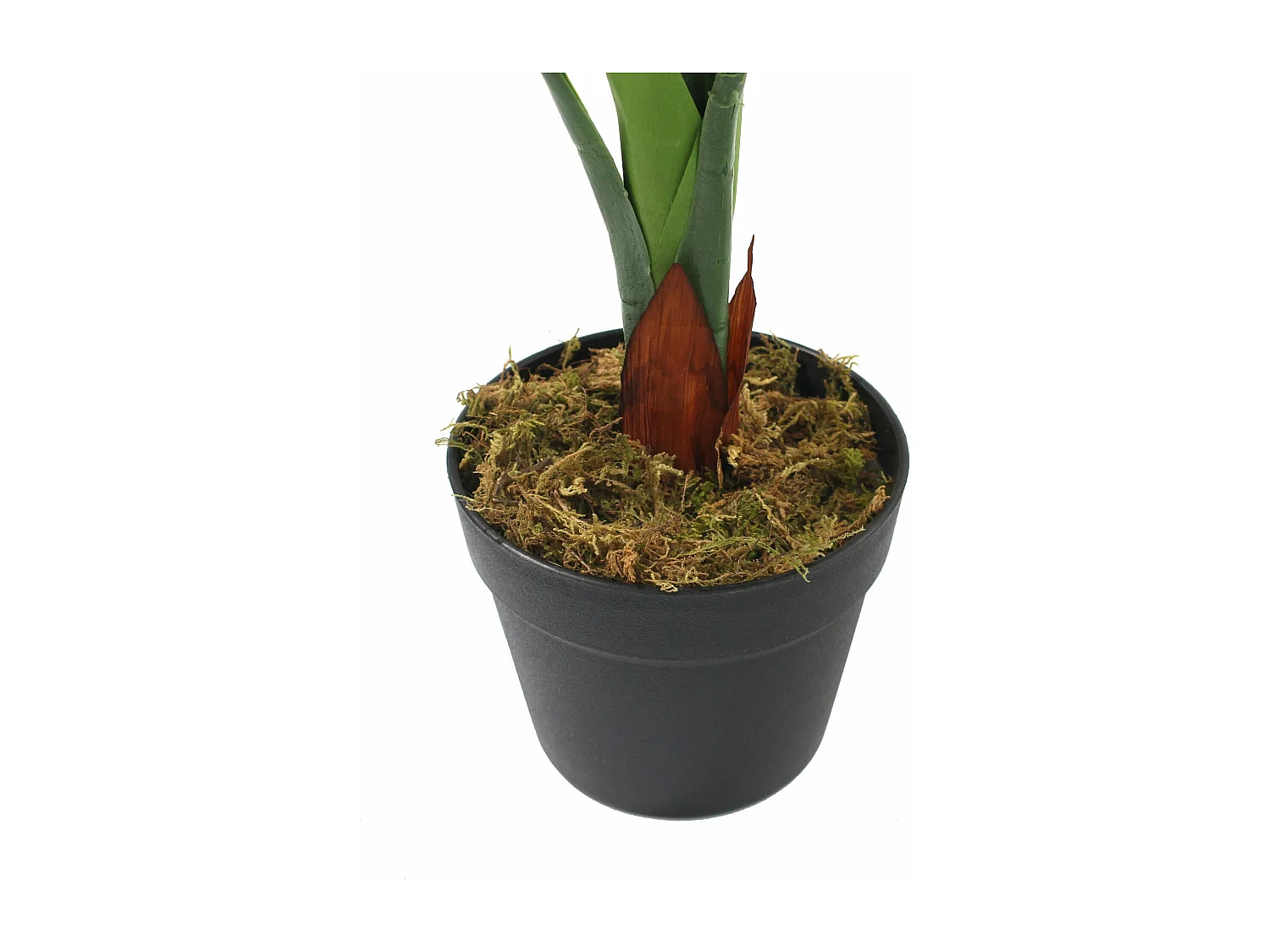 Pianta artificiale Pothos Rebecca Mobili Hieki 90x35x35 PEVA Polietilene Verde Marrone