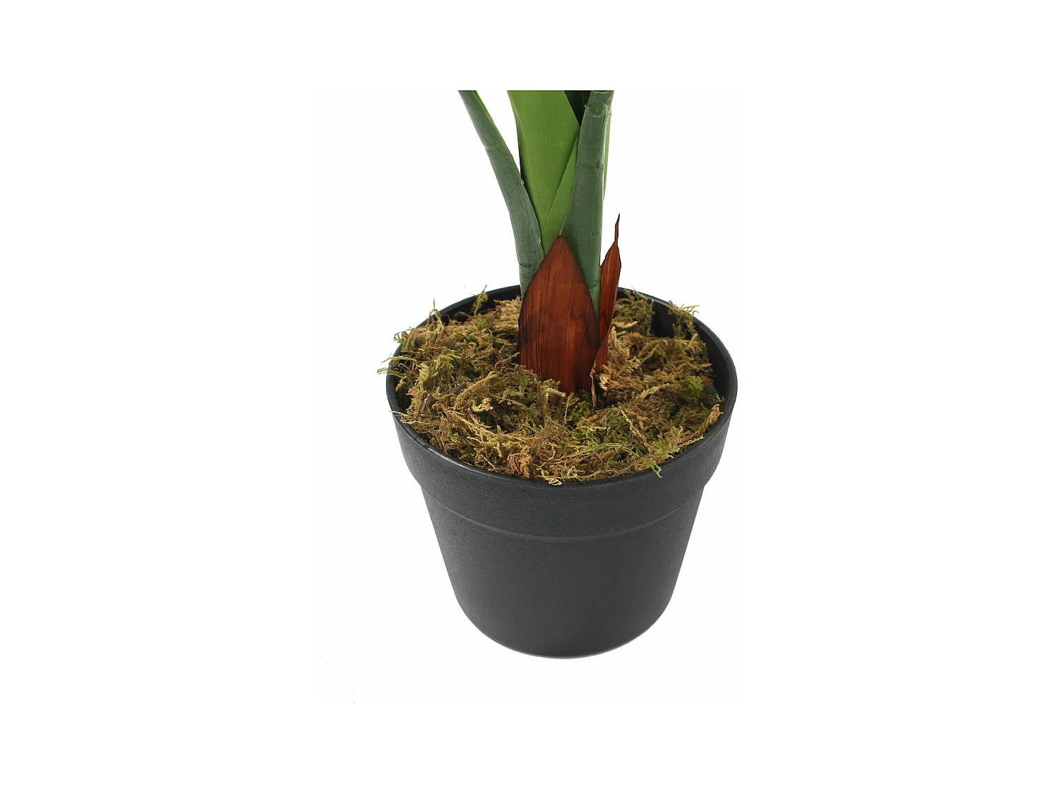Planta artificial de Pothos Rebecca Mobili Hieki 90x35x35 PEVA Polietileno Verde Marrón