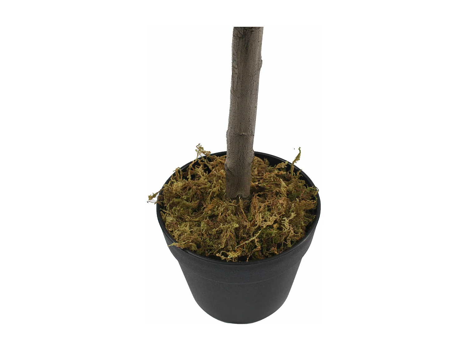 Planta artificial de Oliveira Rebecca Mobili Thoka 120x35x35 Poliéster Madeira Verde Marrom