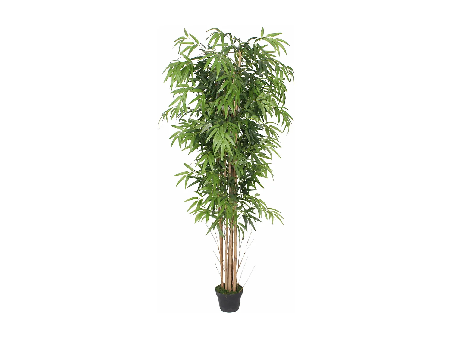 Planta artificial de Bambu Rebecca Mobili Jauda 180x50x50 Poliéster Madeira de Bambu Verde Marrom