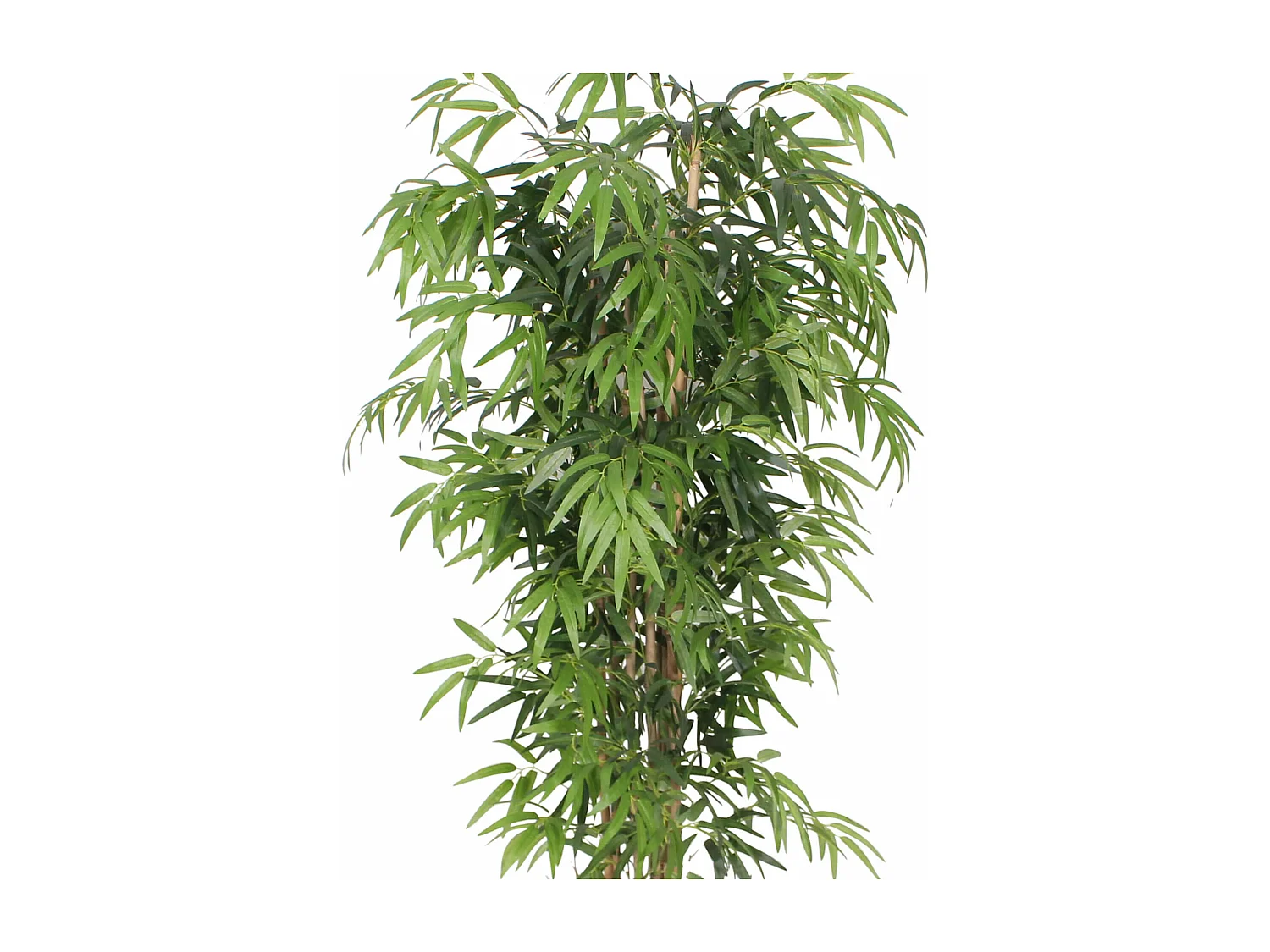 Planta artificial de Bambu Rebecca Mobili Jauda 180x50x50 Poliéster Madeira de Bambu Verde Marrom