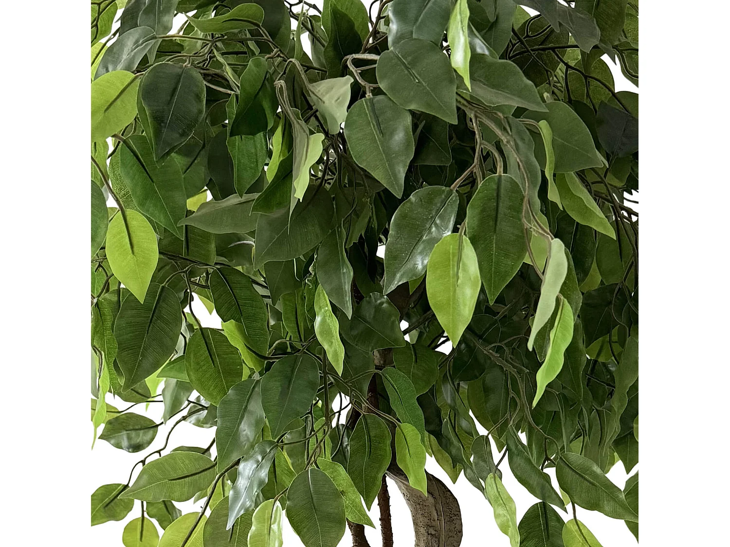 Pianta artificiale Ficus Rebecca Mobili Akdem 120x40x40 PEVA Polietilene Verde Marrone