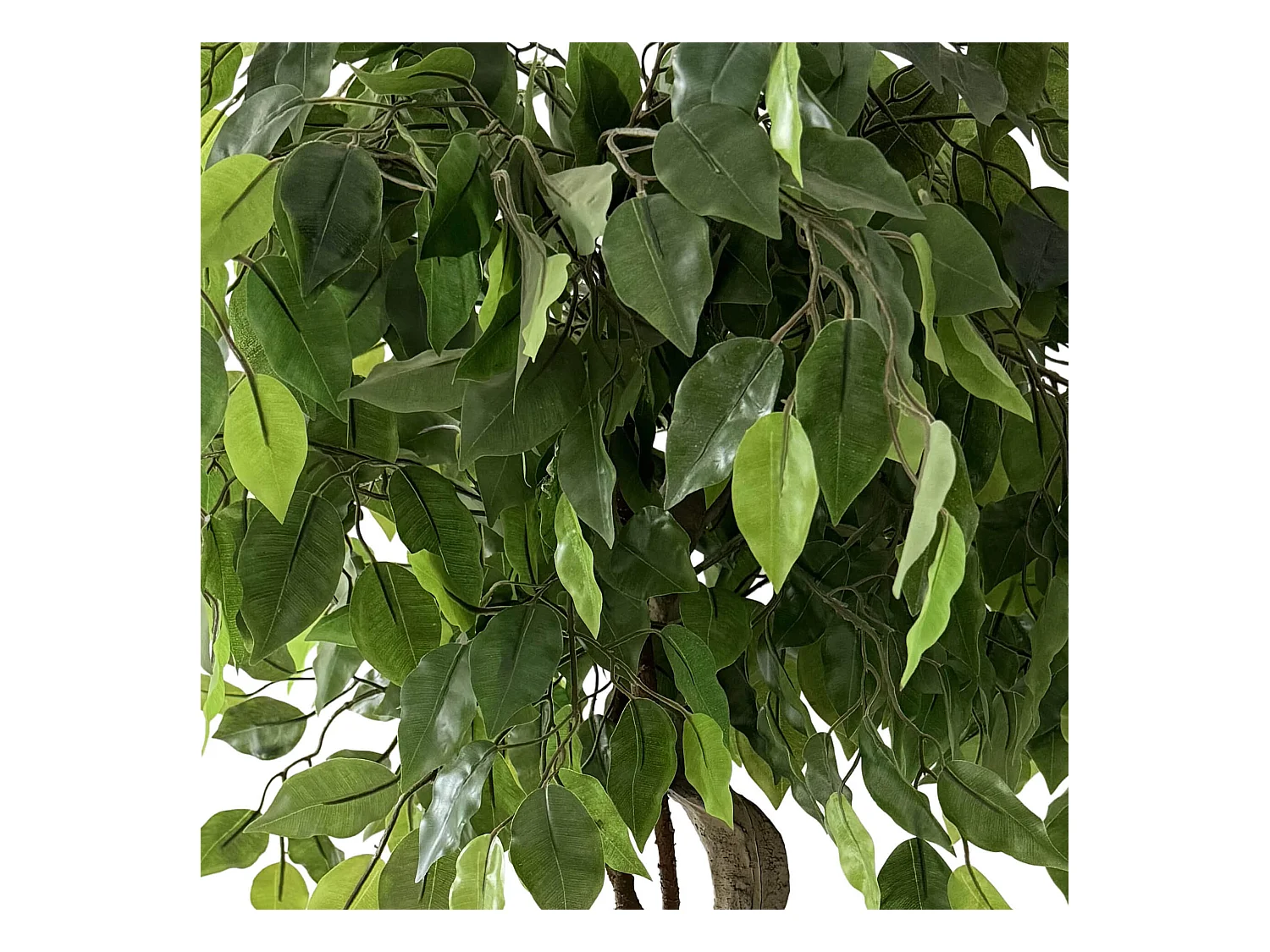 Planta artificial de Ficus Rebecca Mobili Akdem 120x40x40 PEVA Polietileno Verde Marrom