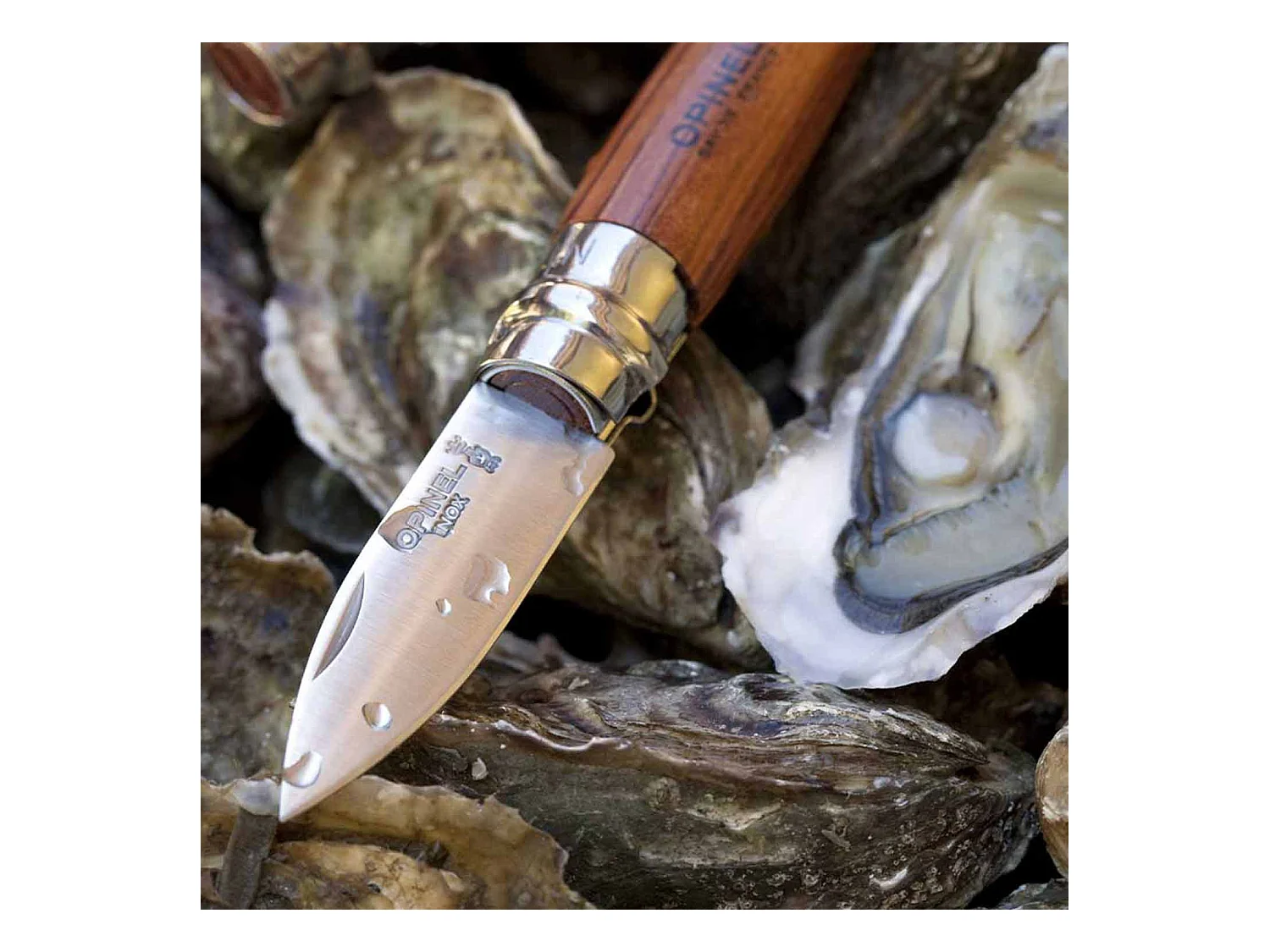 Austern und Muschelmesser Opinel n°09
