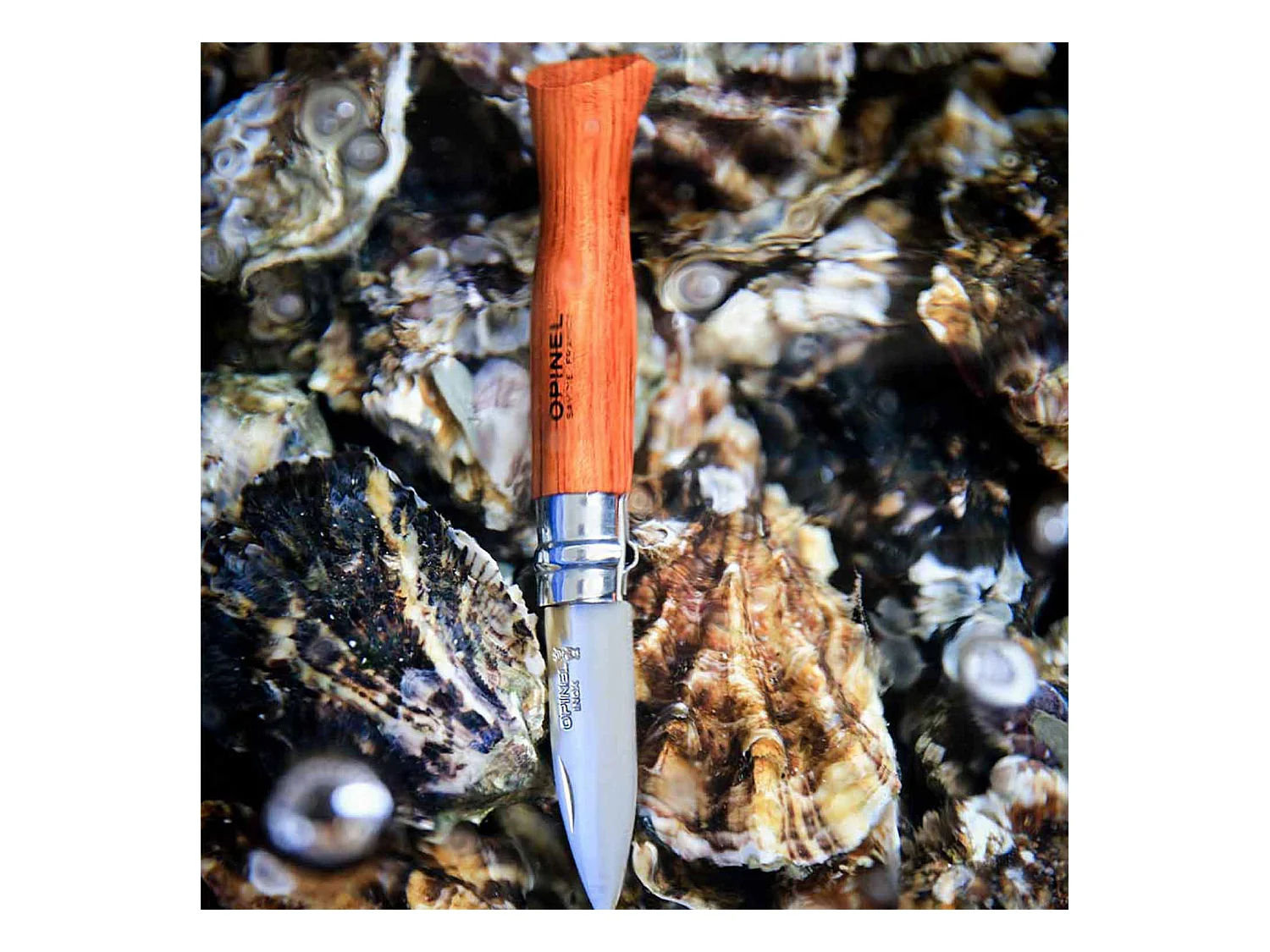 Austern und Muschelmesser Opinel n°09