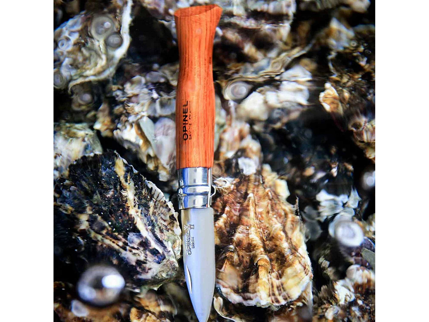 Couteau à huitres et à coquillages numéro 9