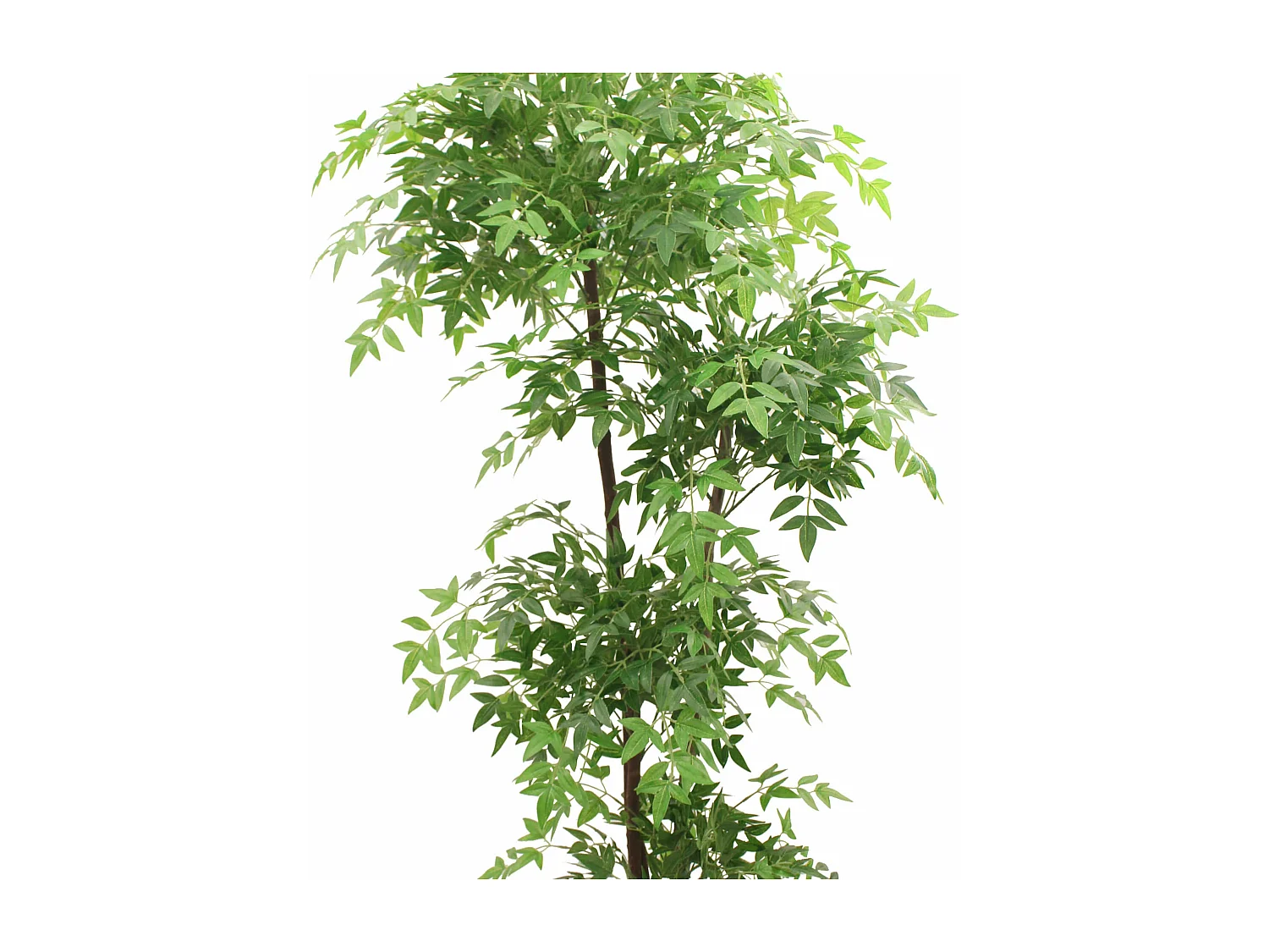 Pianta artificiale Nandina Rebecca Mobili Zamrud 150x50x50 PEVA Legno Verde Marrone