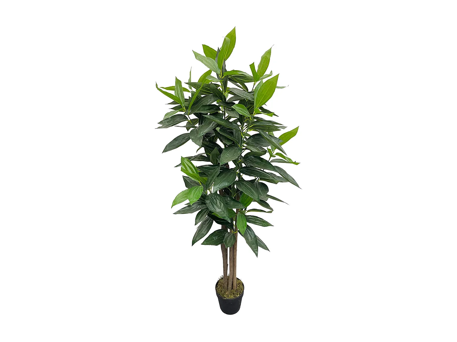 Plante artificielle Cassia Kori 145x40x40 PEVA Bois Vert Marron