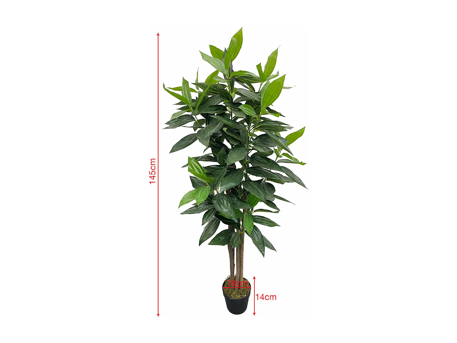 Plante artificielle Cassia Kori 145x40x40 PEVA Bois Vert Marron