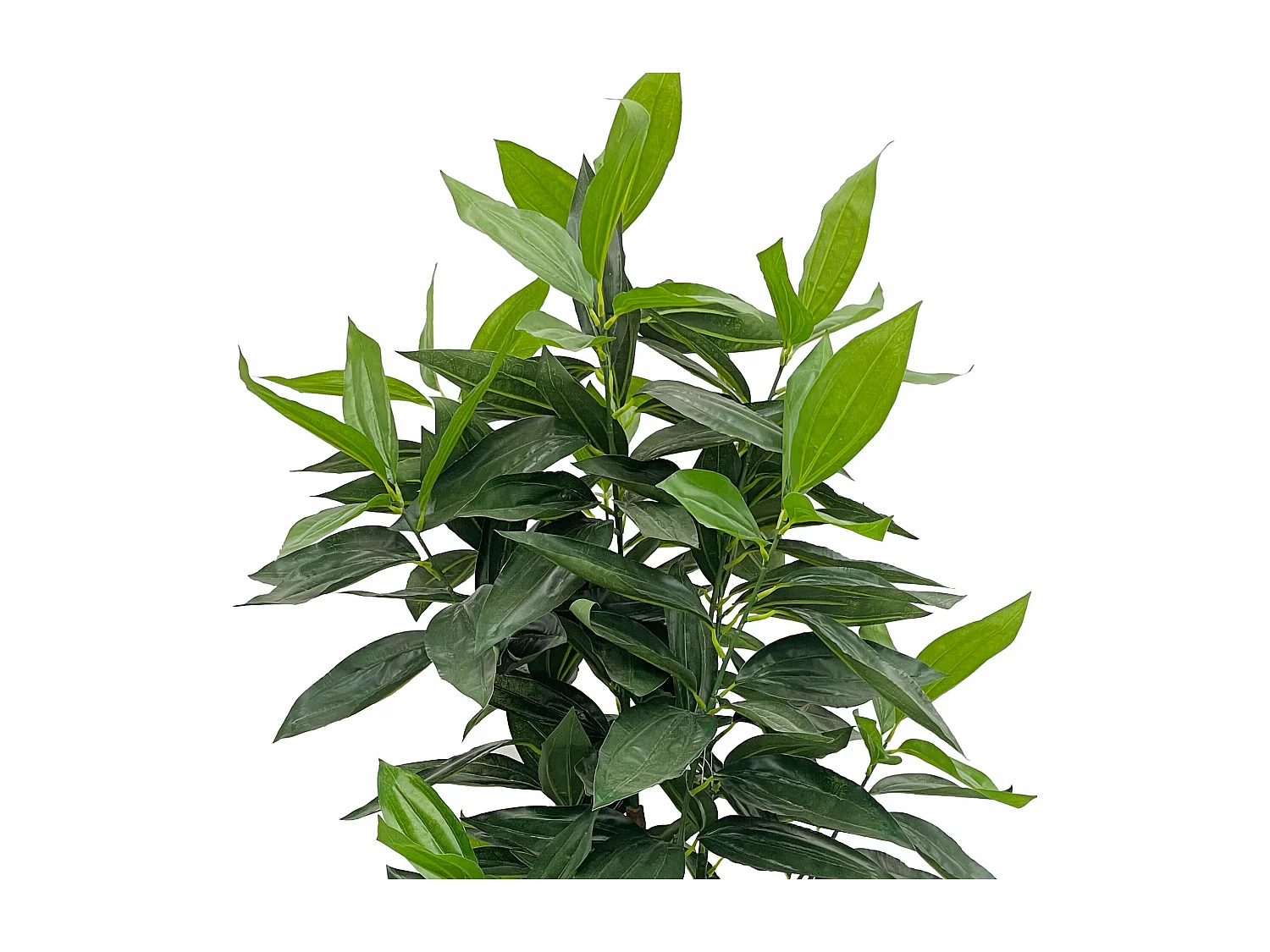 Plante artificielle Cassia Kori 145x40x40 PEVA Bois Vert Marron