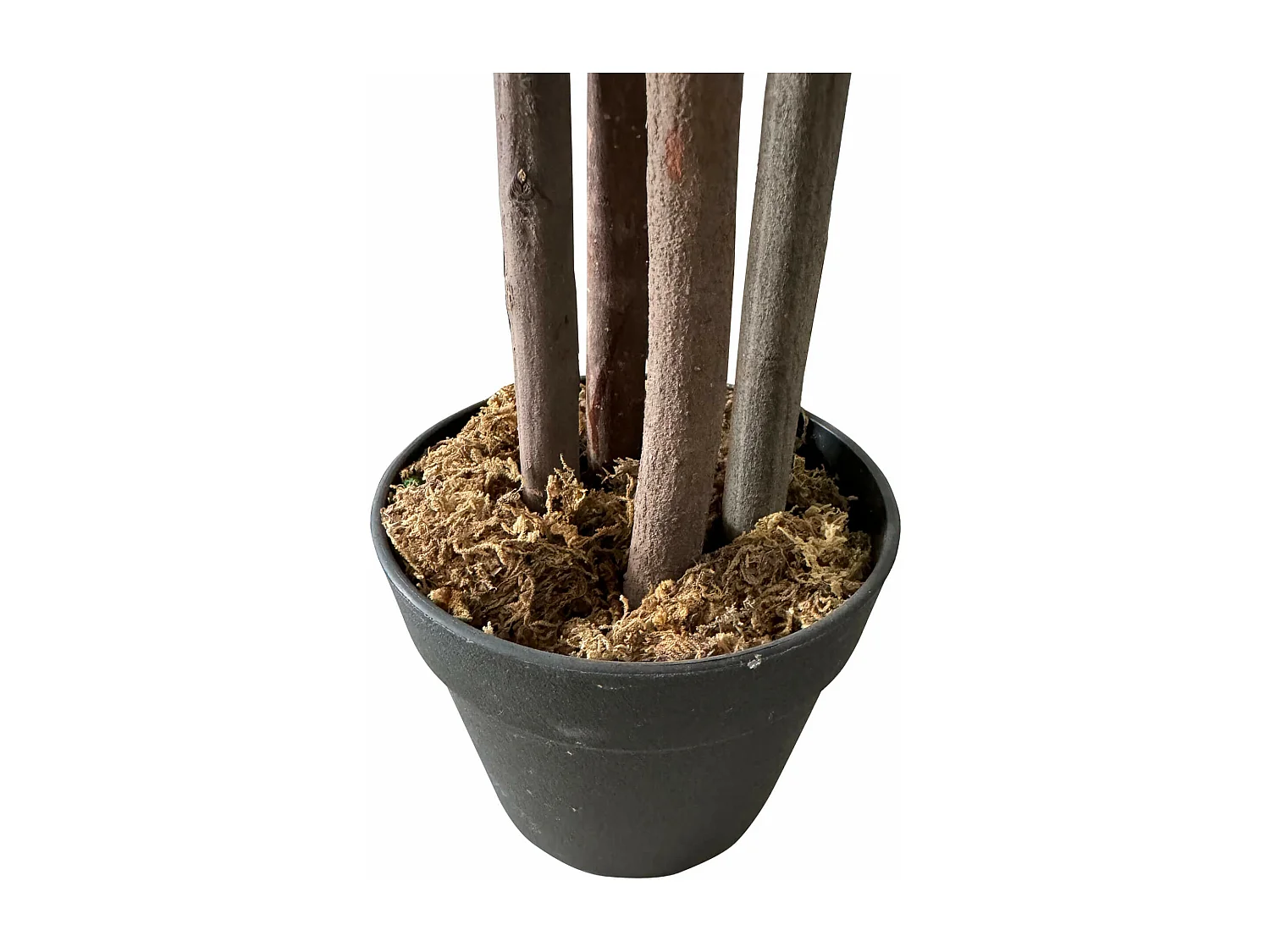 Plante artificielle Cassia Kori 145x40x40 PEVA Bois Vert Marron