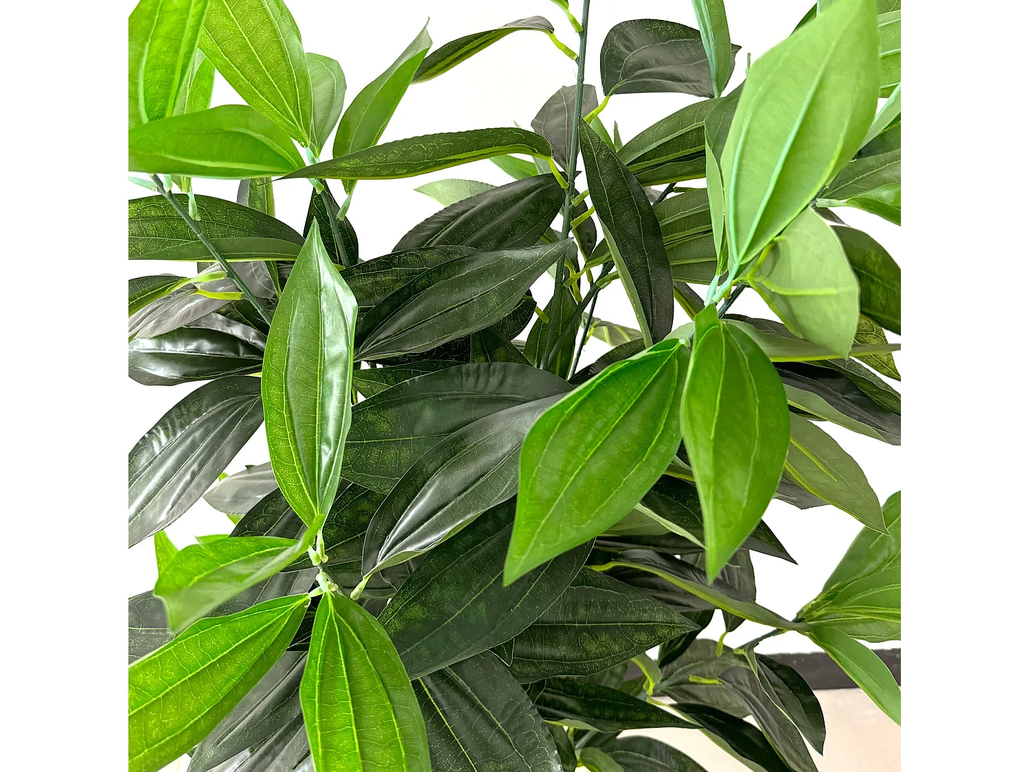 Plante artificielle Cassia Kori 145x40x40 PEVA Bois Vert Marron