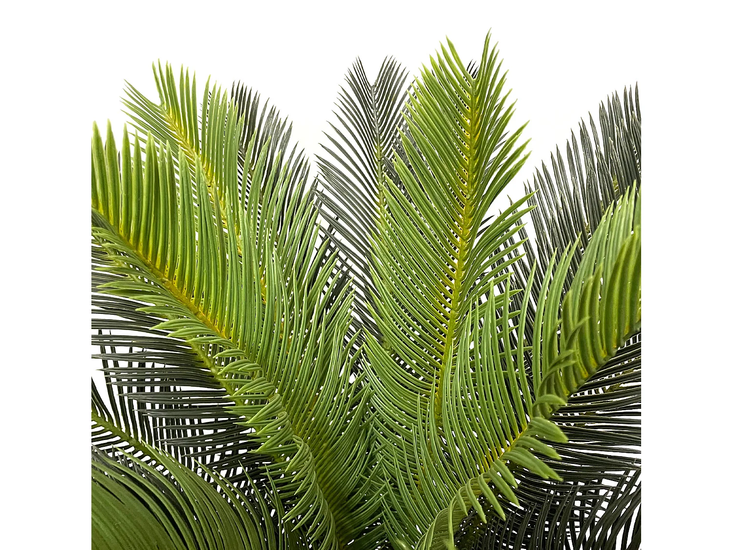 Planta artificial de Cicas Rebecca Mobili Siyar 90x35x35 Polietileno Verde Marrón