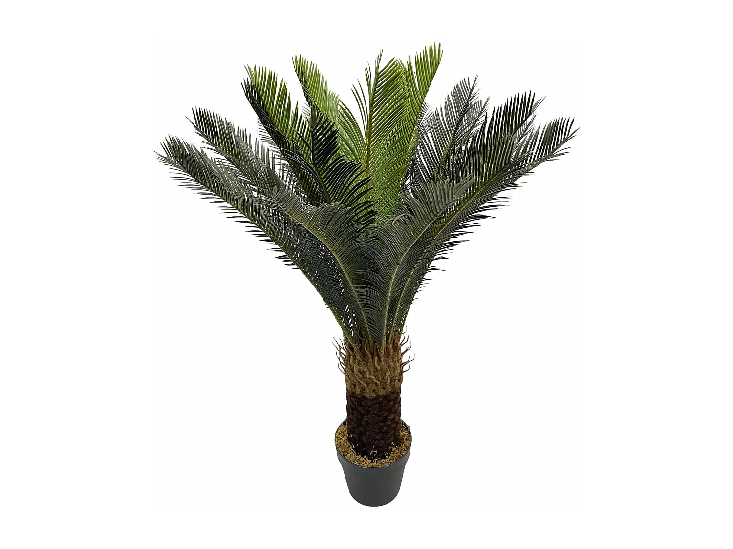 Plante artificielle Cycas Siyar 90x35x35 Polyéthylène Vert Marron
