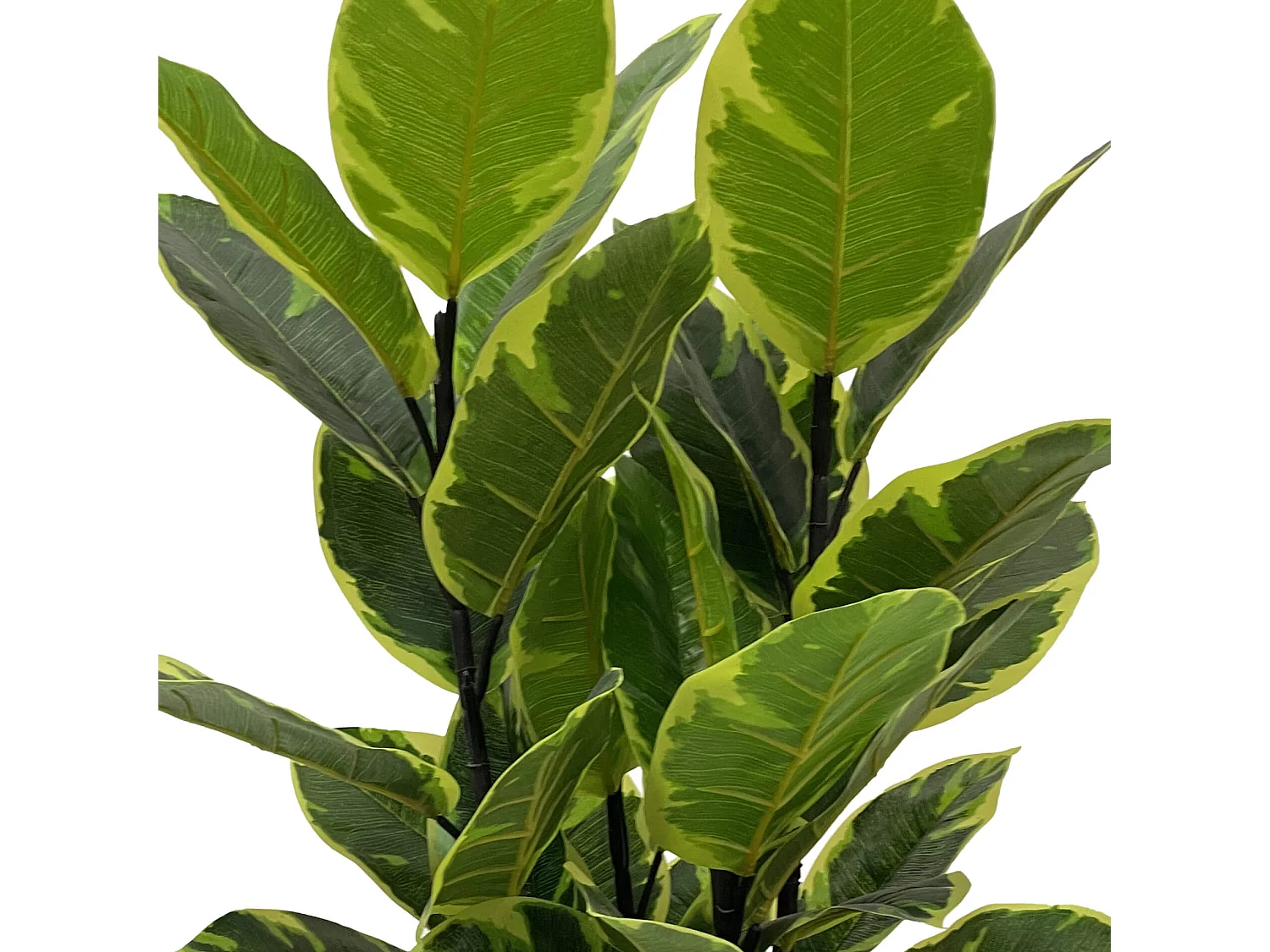 Pianta artificiale Fico Indiano Rebecca Mobili Baishi 90x35x35 PEVA Polietilene Verde Marrone