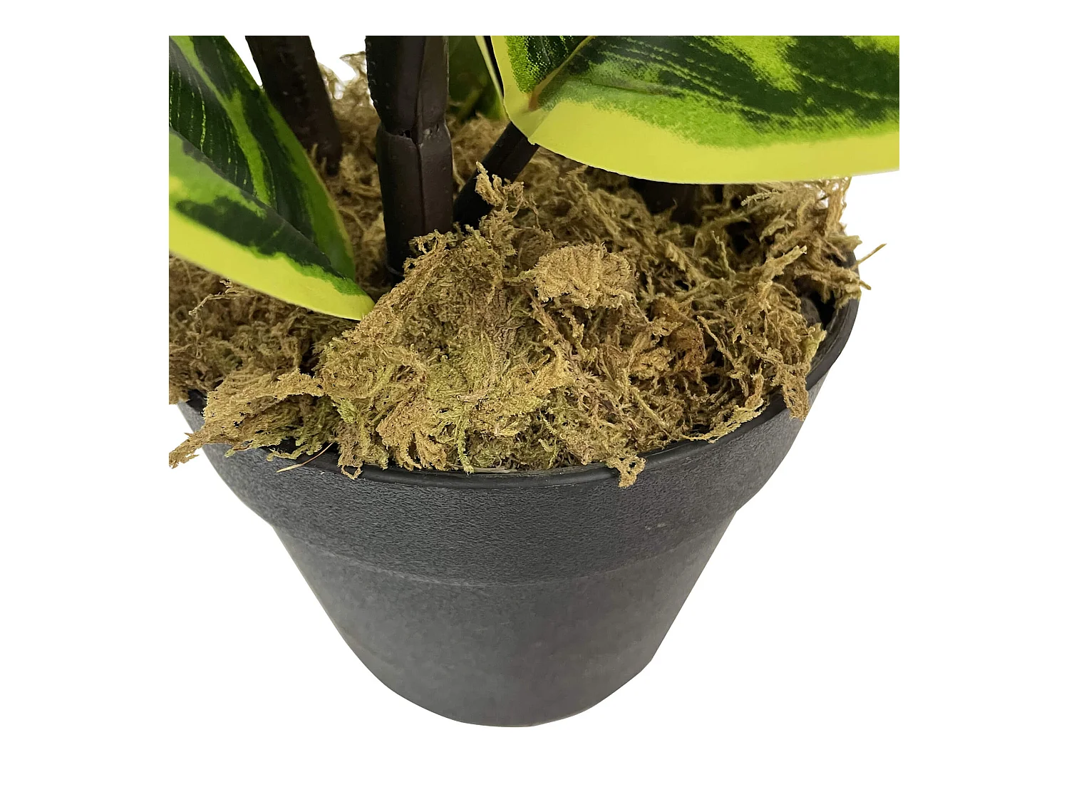 Pianta artificiale Fico Indiano Rebecca Mobili Baishi 90x35x35 PEVA Polietilene Verde Marrone