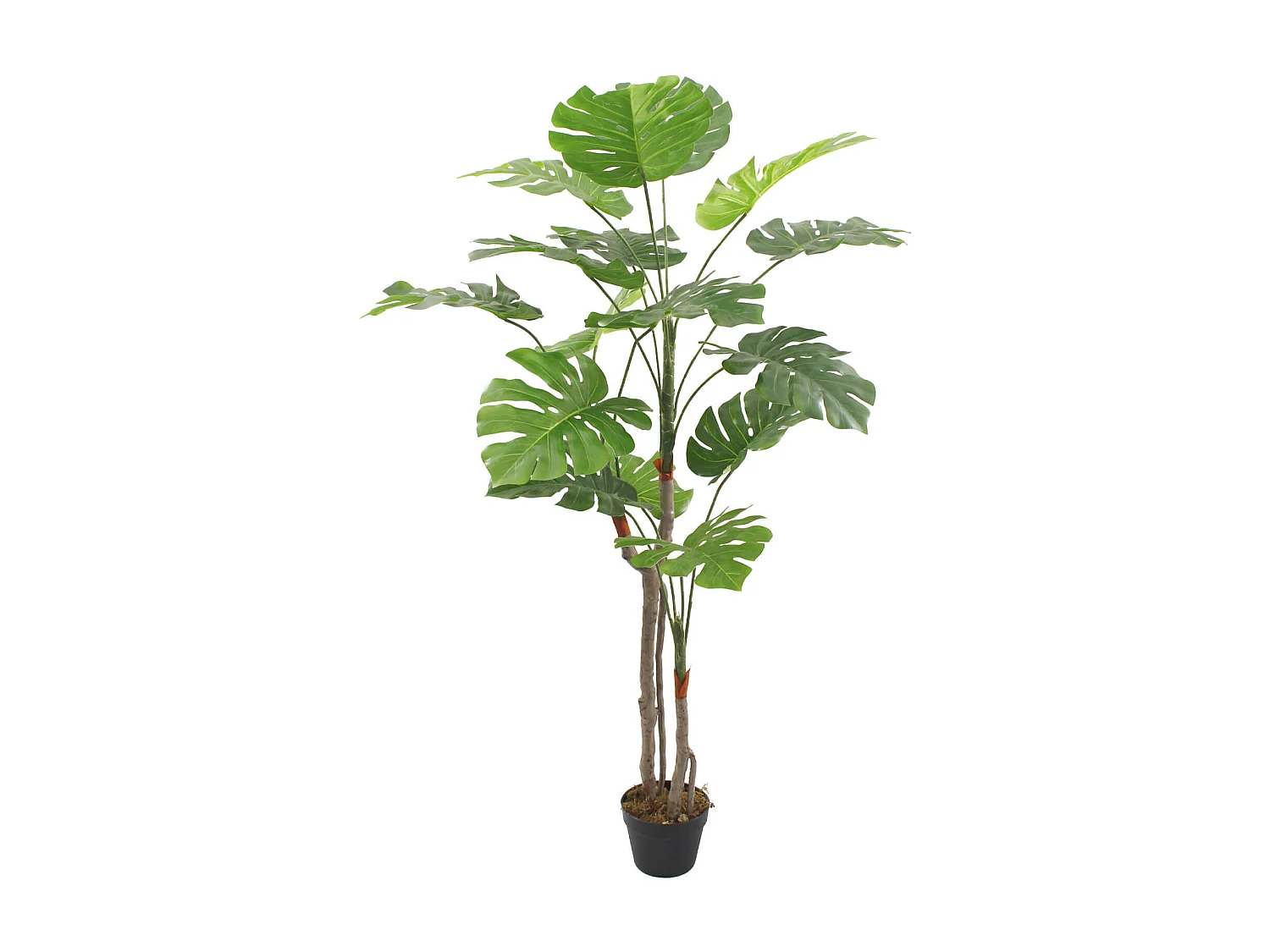 Plante artificielle Monstera Merah 155x50x50 PEVA Polyéthylène Vert Marron