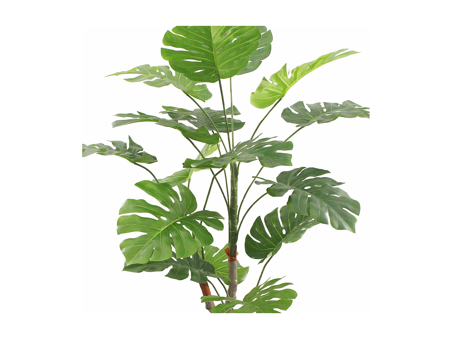 Plante artificielle Monstera Merah 155x50x50 PEVA Polyéthylène Vert Marron