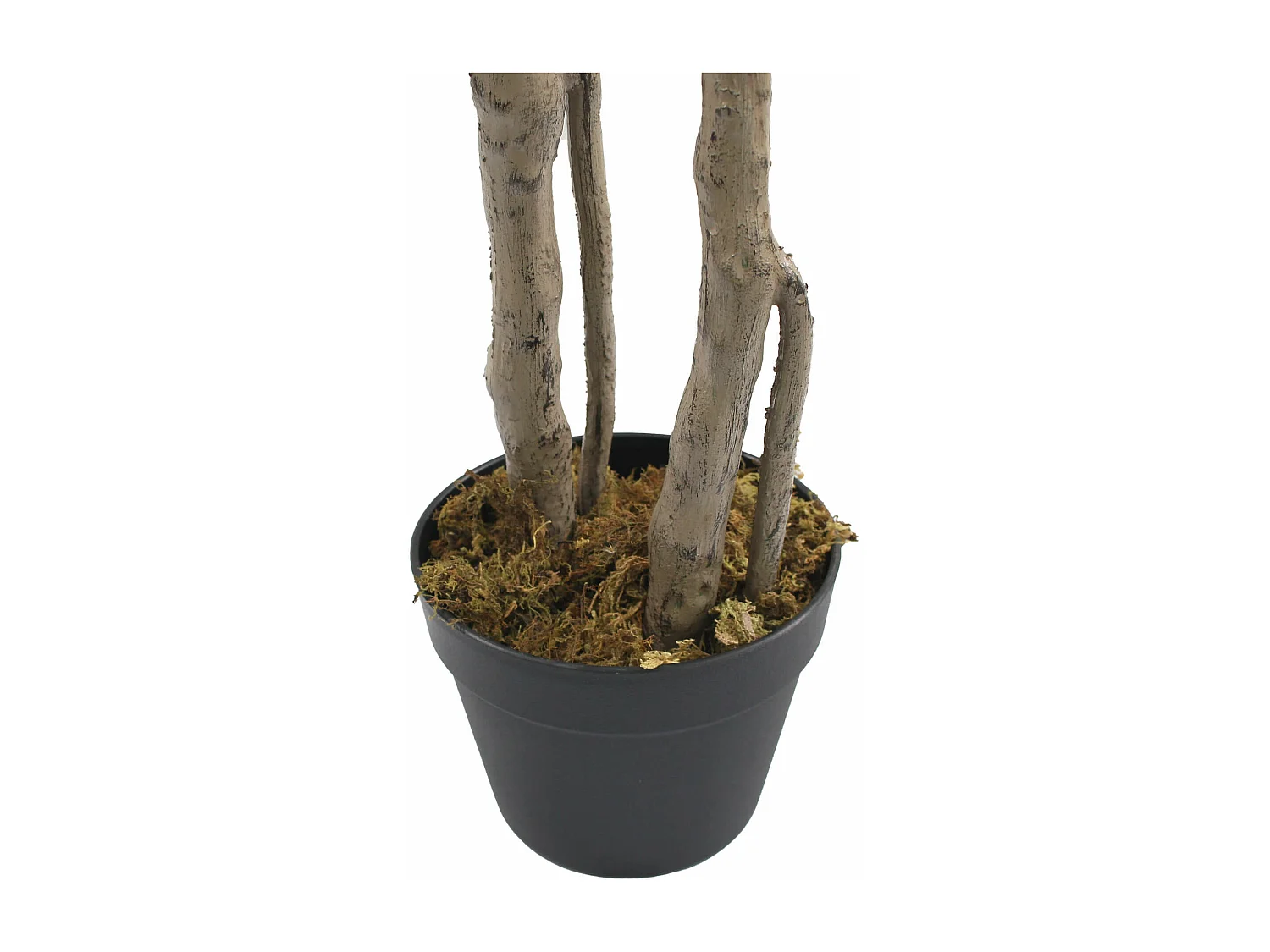 Planta artificial de Monstera Rebecca Mobili Merah 155x50x50 PEVA Polietileno Verde Marrón