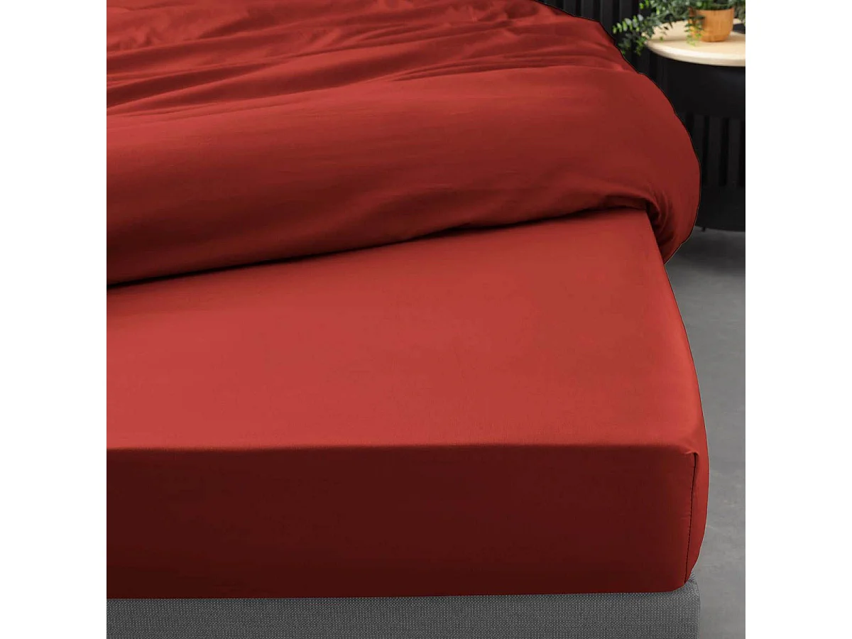 Drap Housse "Percaline" 140x190cm Tomette