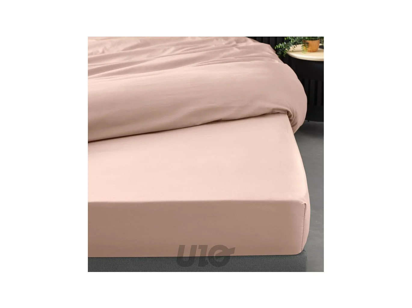 Drap Housse "Percaline" 90x190cm Nude