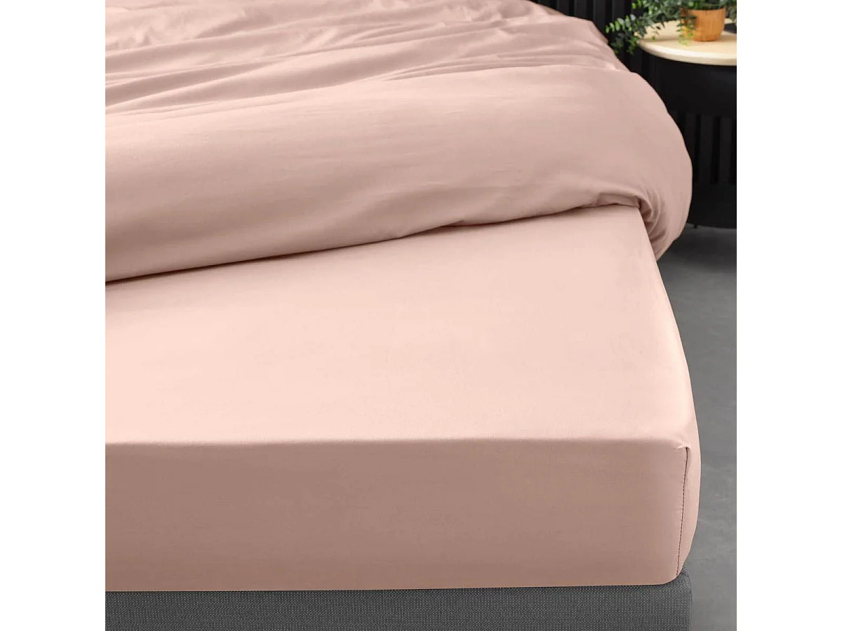 Drap Housse "Percaline" 90x190cm Nude